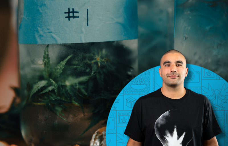 Budtender o cómo atender un Dispensario de Cannabis Medicinal