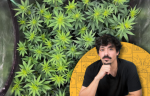 Cultiva Cannabis en Casa con Álvaro Riquelme