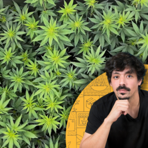 Cultiva Cannabis en Casa con Álvaro Riquelme