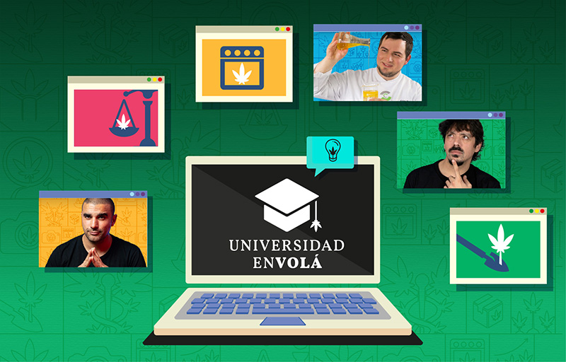 Pack Completo Universidad En Volá — Los 3 Cursos - Imagen 2